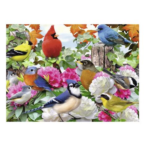 Garden Birds 500pc XXL Jigsaw Puzzle Extra Image 1